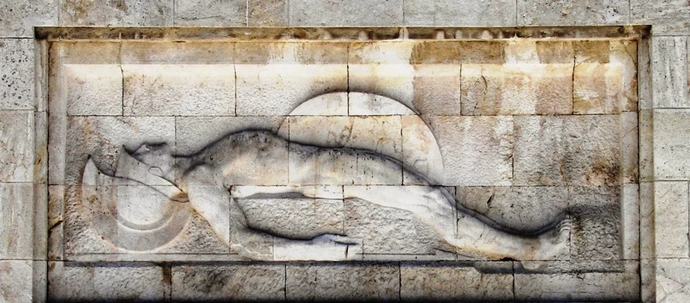 Πρώην υποψήφιος δημοτικός σύμβουλος ΣΥΡΙΖΑ: «Ανατριχιαστικό αυτό που έκαναν οι μαθητές στον Άγνωστο Στρατιώτη»!